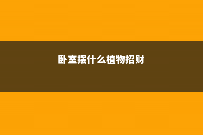 卧室摆什么植物招财，有什么摆放风水禁忌？ (卧室摆什么植物招财)