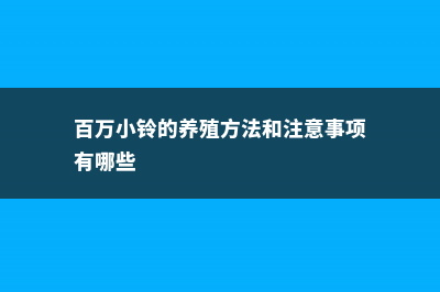 百万小铃的养殖方法和注意事项 (百万小铃的养殖方法和注意事项有哪些)