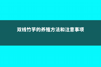 双线竹芋的养殖方法和注意事项 (双线竹芋的养殖方法和注意事项)