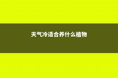 天冷就养“它”，最适合冬天种，特耐寒，东北的朋友也能养！ (天气冷适合养什么植物)