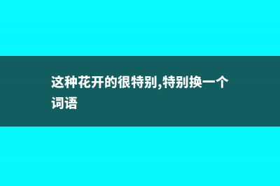 这种“花”，开花200天，还特好养，北方也能养活 (这种花开的很特别,特别换一个词语)