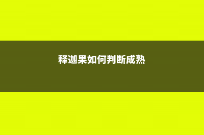 释迦果怎么判断熟没熟 (释迦果如何判断成熟)