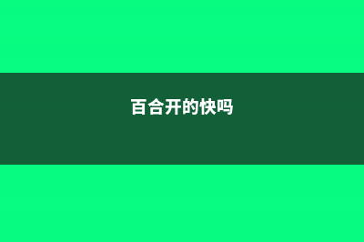 吃的百合开什么样的花 (百合开的快吗)