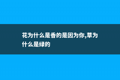 花为什么是香的 (花为什么是香的是因为你,草为什么是绿的)