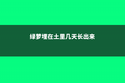 “绿萝”土里埋2粒“它”，叶子蹭蹭长不停，2月可爬满墙 (绿萝埋在土里几天长出来)