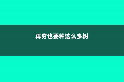 再穷也要种这“3种”树，摆在客厅里，聚气又生财 (再穷也要种这么多树)