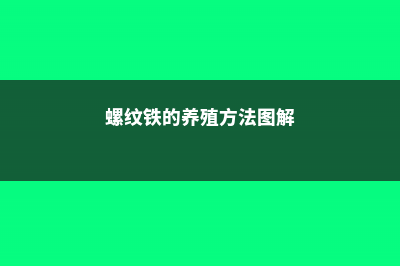 螺纹铁的养殖方法和注意事项 (螺纹铁的养殖方法图解)