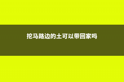 马路边挖点“野菜”，炒菜凉拌样样行，清热又解毒！ (挖马路边的土可以带回家吗)