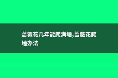 蔷薇花几年能爬满墙 (蔷薇花几年能爬满墙,蔷薇花爬墙办法)