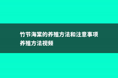 竹节海棠的养殖方法和注意事项 (竹节海棠的养殖方法和注意事项养殖方法视频)