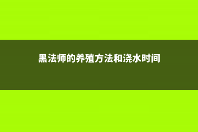 黑法师的养殖方法和注意事项 (黑法师的养殖方法和浇水时间)