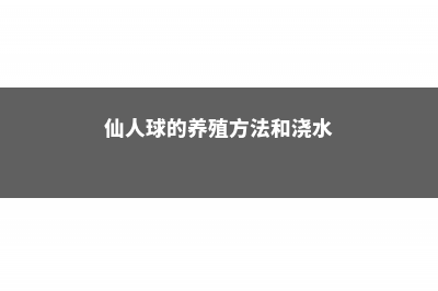 仙人球的养殖方法和注意事项 (仙人球的养殖方法和浇水)