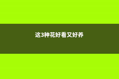 这“3种”花，适合养在家，花能开满枝，一活就是好几十年！ (这3种花好看又好养)