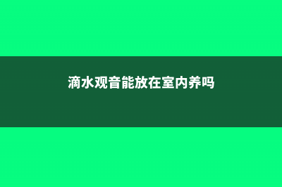 滴水观音能放在室内吗 (滴水观音能放在室内养吗)