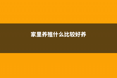 家里养这“3种”花，好养又好看，绝对不“撞花” (家里养殖什么比较好养)