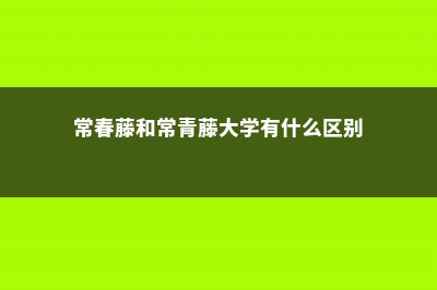 常春藤和常青藤一样吗 (常春藤和常青藤大学有什么区别)