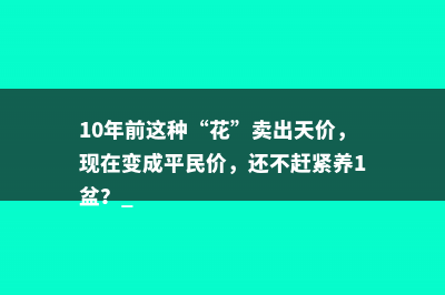 10年前这种“花”卖出天价，现在变成平民价，还不赶紧养1盆？ 