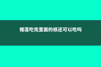 吃剩的榴莲核别扔，水里泡一泡，埋在土里疯长 (榴莲吃完里面的核还可以吃吗)