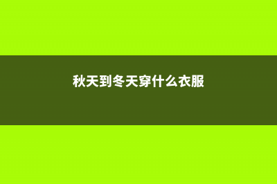 秋冬季节马上来，家里养几盆“冻不死”花卉，再冷也能赏花！ (秋天到冬天穿什么衣服)