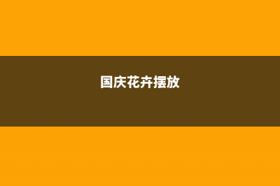 国庆养花就选它，粉嫩小花挂枝头，比绿萝吊兰还好养！ (国庆花卉摆放)