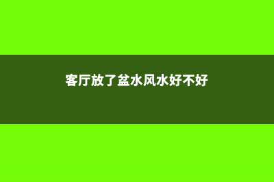 客厅放盆“万年青”，没事浇点水，叶子油绿还茂盛 (客厅放了盆水风水好不好)