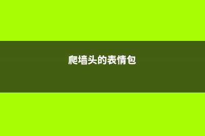 能爬墙爱烫头，这些奇葩仙人球，你们难道是魔鬼吗？ (爬墙头的表情包)