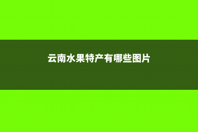 云南水果特产有哪些 (云南水果特产有哪些图片)