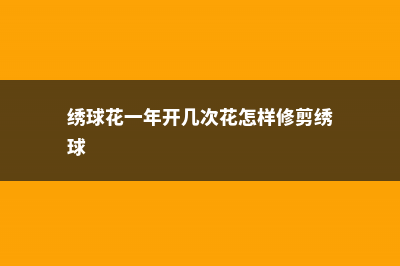 绣球花一年开几次花 (绣球花一年开几次花怎样修剪绣球)