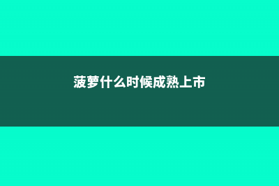 菠萝什么时候成熟 (菠萝什么时候成熟上市)