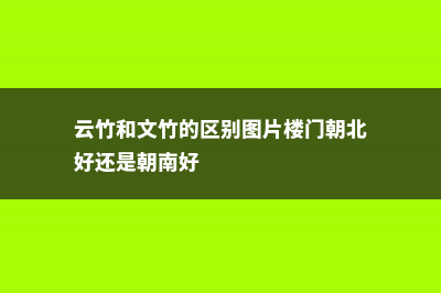 云竹和文竹的区别 (云竹和文竹的区别图片楼门朝北好还是朝南好)