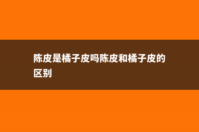 陈皮是桔子皮吗 (陈皮是橘子皮吗陈皮和橘子皮的区别)