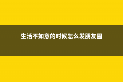 生活不如意的时候，就养盆花草吧！ (生活不如意的时候怎么发朋友圈)