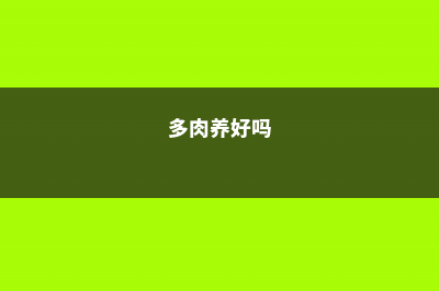 “多肉”还养在花盆里？你落伍了，爷爷家的多肉都长成“老桩”了！ (多肉养好吗)