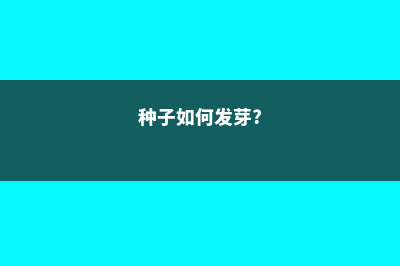 种子如何发芽生长 (种子如何发芽?)