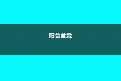 阳台种盆它，1次结果200个，碗里都装不下，省钱了！ (阳台盆栽)