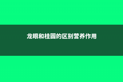 龙眼跟桂圆有什么区别 (龙眼和桂圆的区别营养作用)