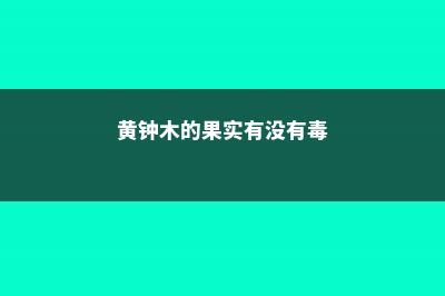 怎么辨别黄钟木 (黄钟木的果实有没有毒)