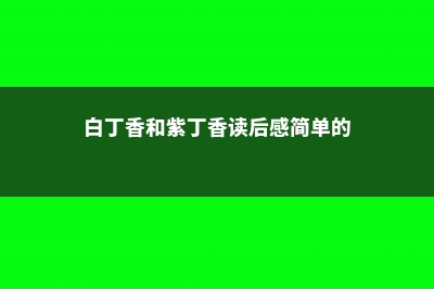 白丁香和紫丁香的区别 (白丁香和紫丁香读后感简单的)