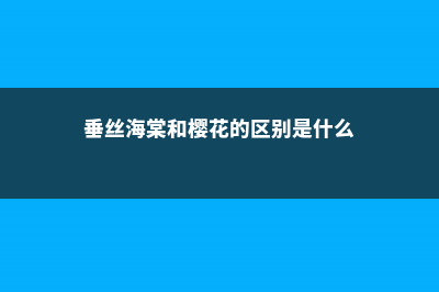 垂丝海棠和樱花的区别 (垂丝海棠和樱花的区别是什么)