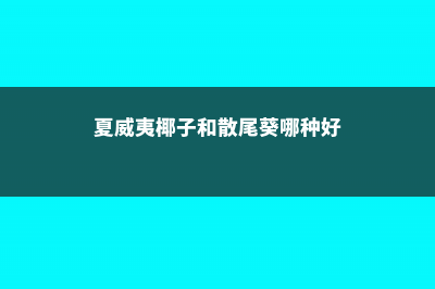 怎么辨别狭叶龙舌兰 (狭叶龙舌兰干叶是什么问题)