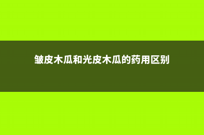 皱皮木瓜和光皮木瓜的区别 (皱皮木瓜和光皮木瓜的药用区别)