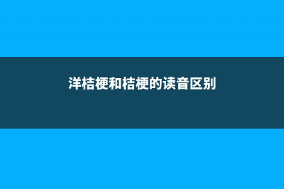 洋桔梗和桔梗的区别 (洋桔梗和桔梗的读音区别)