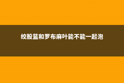 绞股蓝和罗布麻的区别 (绞股蓝和罗布麻叶能不能一起泡)