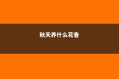 秋天养点什么花？选这3种，它们就喜欢在秋天开花开满盆 (秋天养什么花香)