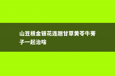 山豆根与金银花区别 (山豆根金银花连翘甘草黄苓牛蒡子一起治啥)