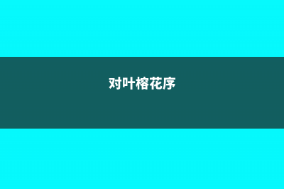 对叶榕与榕树的区别 (对叶榕花序)