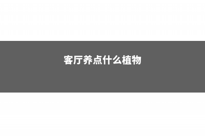 客厅养点什么植株，这3种不错，长势旺还对身体好！ (客厅养点什么植物)