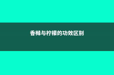 香橼和柠檬的区别 (香橼与柠檬的功效区别)