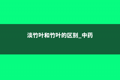 淡竹叶和竹叶的区别 (淡竹叶和竹叶的区别 中药)