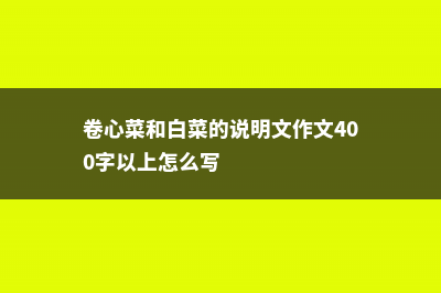 卷心菜和白菜的区别 (卷心菜和白菜的说明文作文400字以上怎么写)